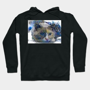 Sleepy Cat Hoodie